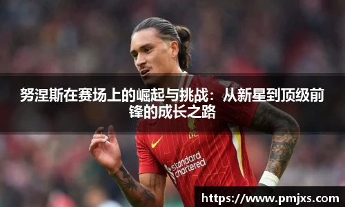 努涅斯在赛场上的崛起与挑战:从新星到顶级前锋的成长之路